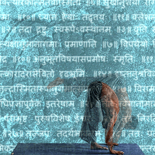 Ashtanga Vinyasa Yoga